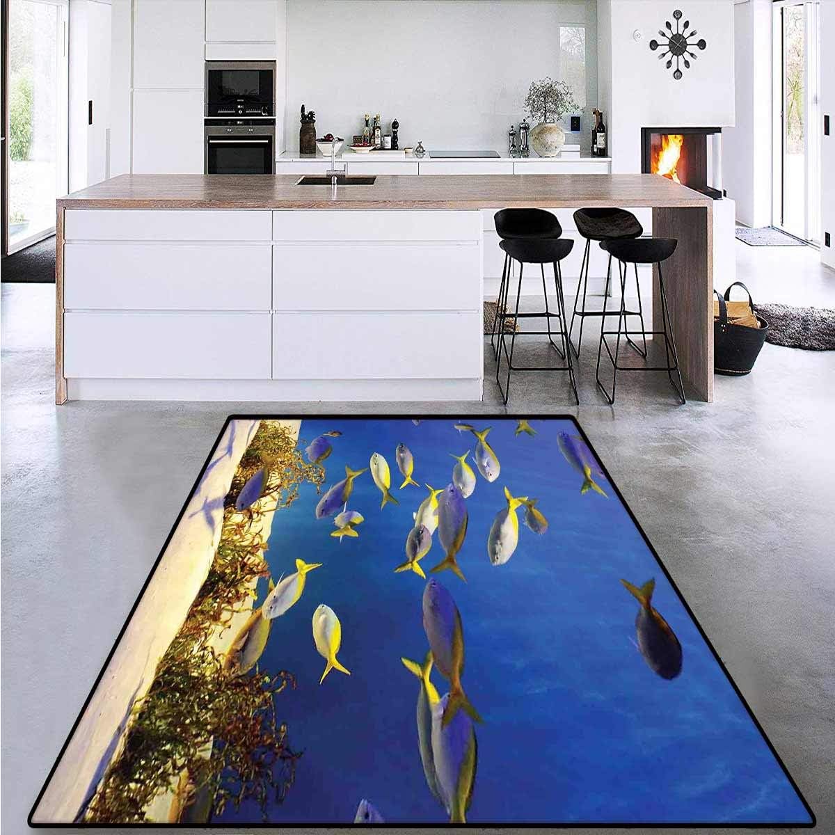 Ocean, Bath Mats Carpet, Clear Underwater Sea World Marine Plants and Tropical Fish School, Area Rug Bedroom 4' x 6' Navy Blue Ivory and Yellow