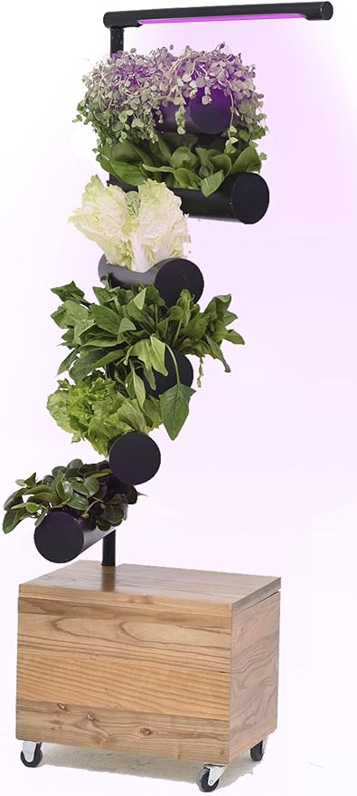 Vertical Garden Sukkulente Kaktus Kleine Pflanzen Krauterbepflanzung Zylinder System Einzigartiges Geschenk Decor Vertical Garden Amazon De Garten