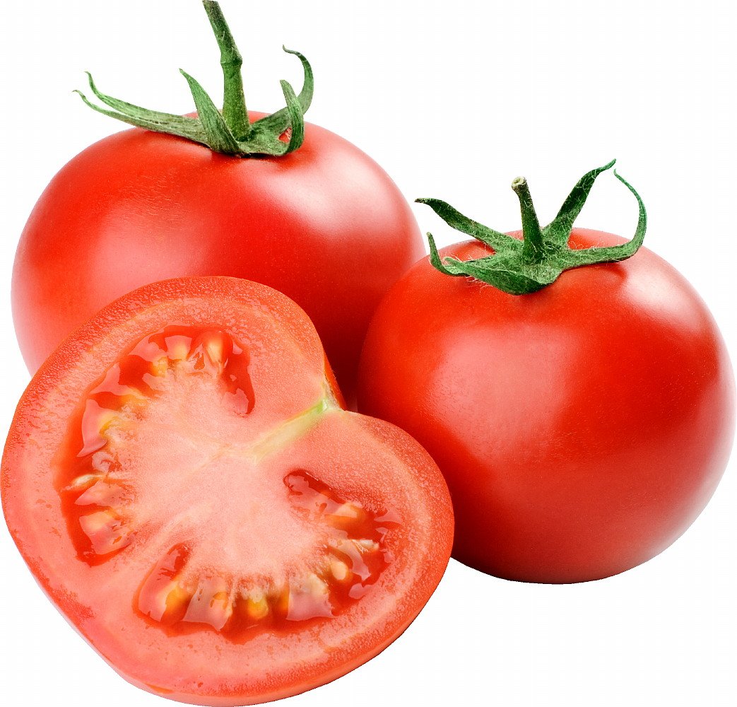 Rutgers Tomato Plant Great for Canning 3