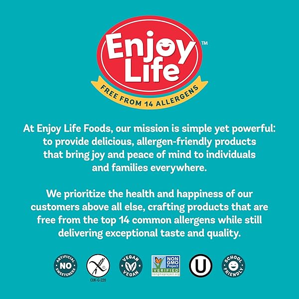 ENJOY LIFE RICEMILK BAKING MORSELS, 9 OZ BAG