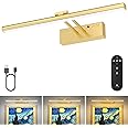 15.35inch Picture Light with Remote, Wireless Rechargeable Battery Wall Light for Paintings, 3 Colors Paintings Light Dimmable and Timer Metal Art Light for Display, Wall, Artwork, Gallery (Gold)