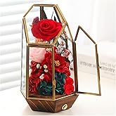 AIMEYE Valentines Day Flowers Gifts for Her,Forever Real Preserved Roses in Glass Dome,Valentines Roses Gifts for Wife Women Best Friend Girlfriend/Red Rose