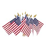 HOOSUN 12 Pcs Small American Flags On