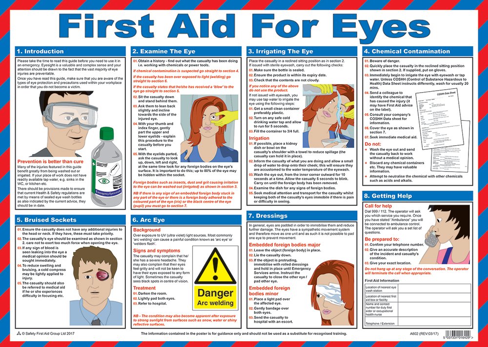 Safety First Aid Laminated First Aid for Eyes Poster