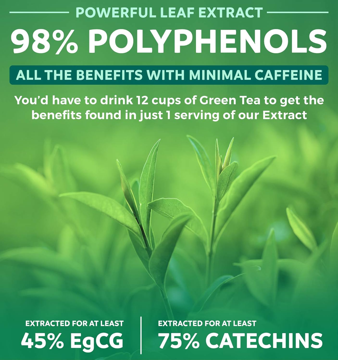 Green Tea 98% Extract with EGCG - 120 Capsules (Non-GMO) for Weight Loss & Metabolism Boost - Natural Diet Pills - Leaf Polyphenol Catechins - Antioxidant Supplement - 1000mg (500mg per Capsule): Health & Personal Care
