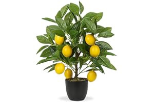 OAIRSE Artificial Potted Plants 15.7 inches Fake Lemon Tree Artificial Lemons Citrus Tree with Black Pot Faux Plants Indoor for Home,Office, Living Room Table, Desk