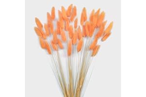 DTXMOH Orange Bunny Tails Pampas Grass 120pcs, 17'' Lagurus Ovatus Rabbit Tail Dried Flowers for Bouquet, Vase Fillers, Wedding, DIY Crafts, Boho Home Décor