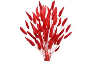 Uieke 17’’ Natural Bunny Tails Dried Flowers, 50 Pcs Dried Lagurus Ovatus, Dried Red Pampas Grass Decor for Farmhouse Flower Arrangements Wedding Home Craft Boho Party Decorations
