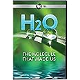 H2O: The Molecule That Made Us