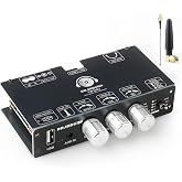 TW100U 100W Mono Amplifier Board, TPA3116D2 Digital Power Amp Module with Built-in Step-up Voltage Circuit (19V/24V), Supports TWS Wireless Pairing, Bluetooth 5.3, AUX, USB Input, DC 12-24V