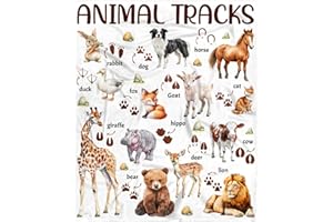 XVX-BOOM Animal Tracks Field Guide Blanket - Woodland Animals ABC Educational Gifts for Baby Boys Kids Girls Animal Hunting Lover - 50"x40" Forest Throw Sheet Decor for Nursery School Classroom Travel Playroom