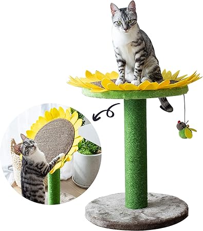 best cat climbing tree