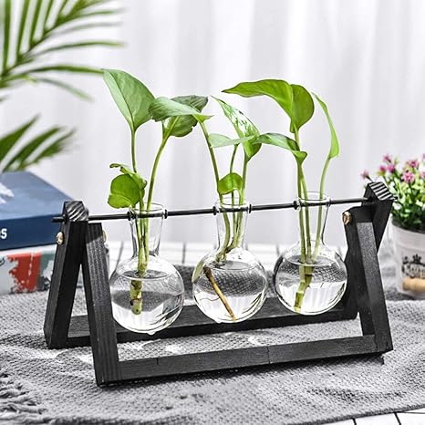Amazon Knikglass 水耕栽培キット 水耕栽培花瓶 木製花瓶スタンド 水耕栽培花瓶 卓上花瓶 水耕栽培植物 電球形ガラス瓶 卓上花瓶 3つ 電球形ガラス瓶 花 植物栽培容器 フラワーベース 木製枠 花器 家飾りガラス花瓶 三瓶 花器 インテリアボウル オンライン通販