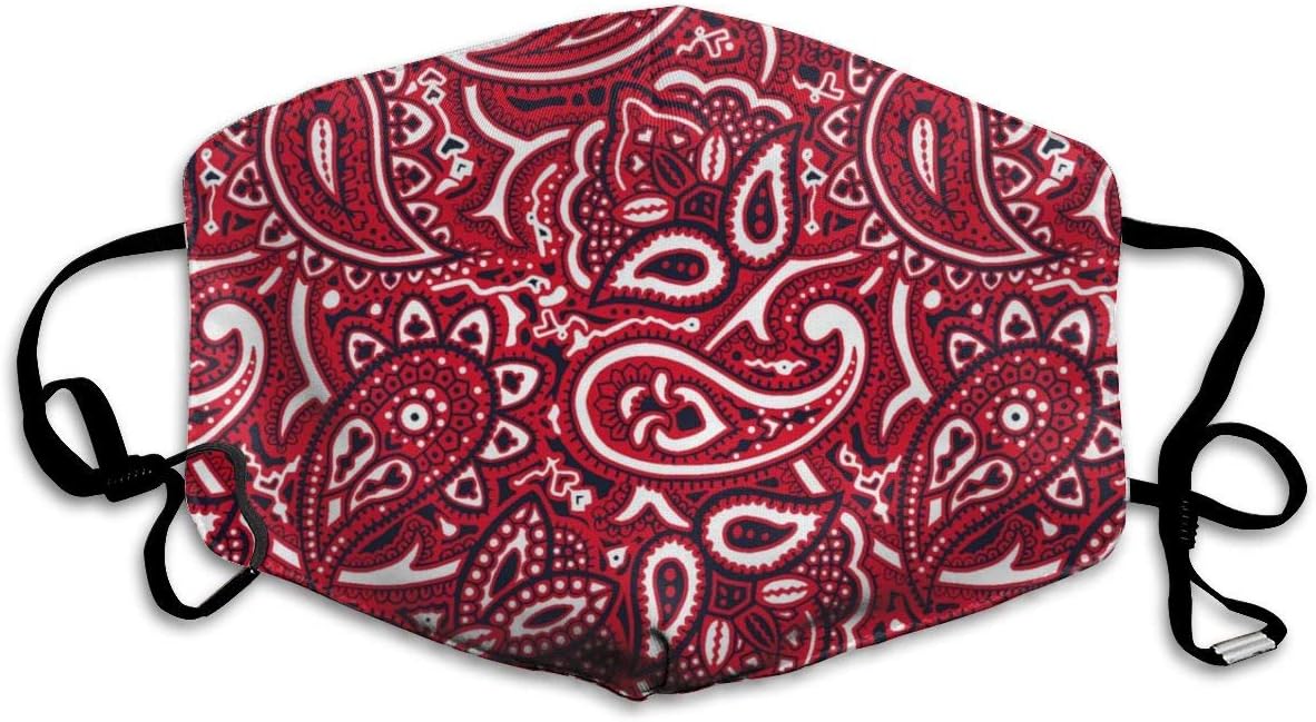 YongColer Breathable Anti-dust Best Warm Windproof Paisley Bandana Red Face Masks Comfy Anti Pollution Washable Reusable Mouth Masks for Men Women Teens