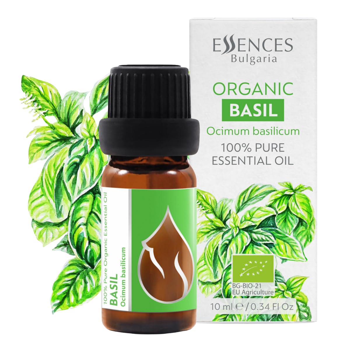 Essences Bulgaria Organic Basil Essential Oil 10ml | Ocimum basilicum | 100% Pure and Natural | Undiluted | Therapeutic Grade | Family Owned Farm | Steam-Distilled | Non-GMO | Vegan