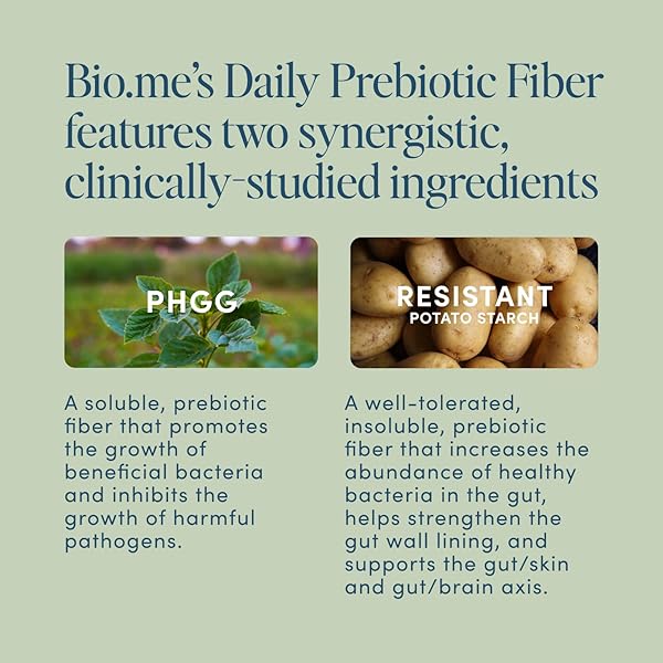 DAILY PREBIOTIC FIBER – FIBER SUPPLEMENT POWDER FOR DIGESTIVE HEALTH & GUT HEALTH – FIBER POWDER UNFLAVORED PREBIOTICS, NON-GMO DIETARY FIBER, GLUTEN & SUGAR FREE SOLUBLE FIBER SUPPLEMENTS-30 SERVINGS
