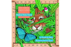 Tropical Rain Forest