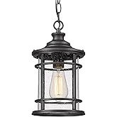 Emliviar Outdoor Hanging Pendant Light - 12 Inch Hanging Lantern for Front Porch, Seeded Glass Shade in Black Finish, XE229H 