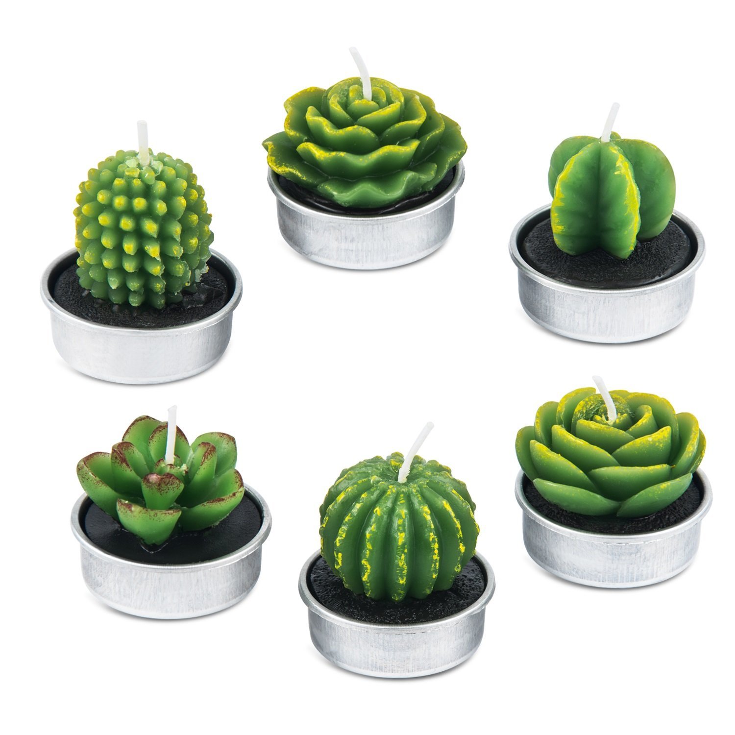 AMASKY Handmade Delicate Succulent Cactus Candles for Birthday Party Wedding Spa Home Decoration (6 Packs(1))
