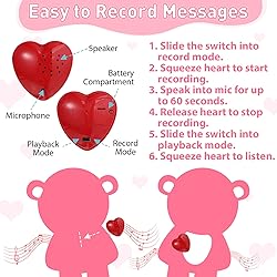 Hungdao Bear Stuffed Animal With Voice Recorder