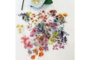 50Pcs Natural Vintage Flower Stickers,Scrapbook Embellishments Stickers and Stamps, for Scrapbooking, Self Adhesive Scrapbook