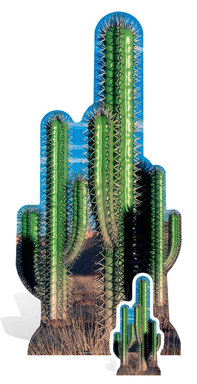 STAR CUTOUTS Cut Out of Cactus Group