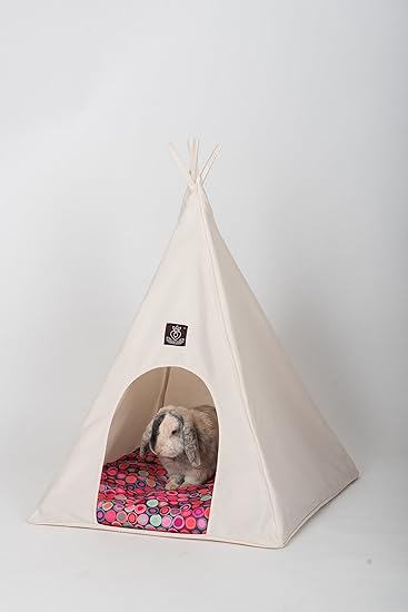 puppy teepee
