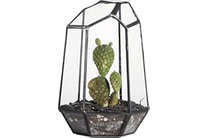 NCYP Small Geometric Terrarium - 4.1" x 3.5" x 5.9" Miniature Irregular Glass Terrarium Planter for Succulent Air Plants - Tabletop Garden Display Container, Black (No Plants, No Door)