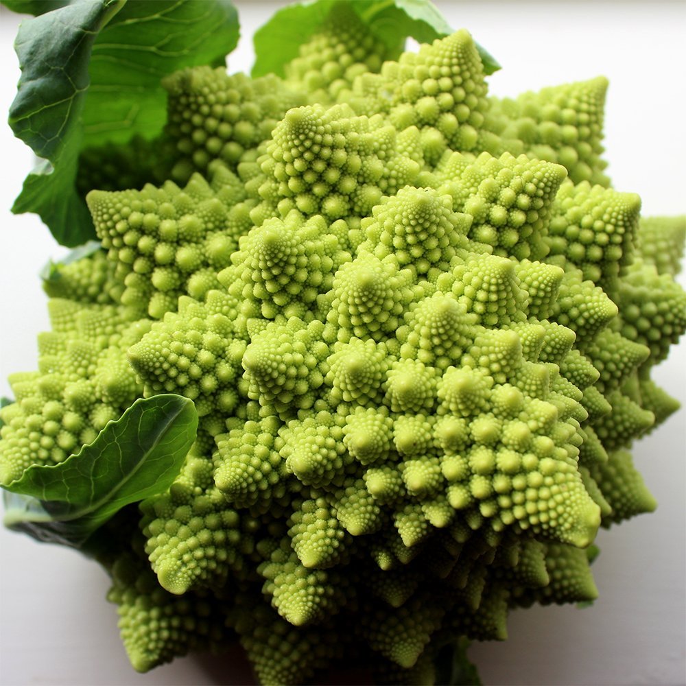 Broccoli Romanesco 50 Seeds per Packet Rare & Unique
