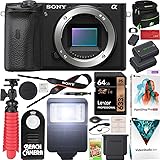 Sony a6600 Mirrorless Camera 4K APS-C Body Only Interchangeable Lens Camera ILCE-6600B with Deco Gear Case + Extra Battery + 