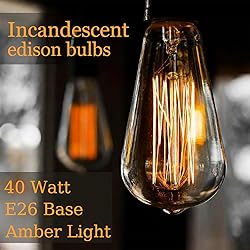 GOENDR E26 40W Edison Bulbs, ST64 2700K Warm