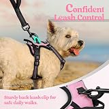 rabbitgoo Dog Harness Small No Pull Adjustable Reflective Pink XS view 7