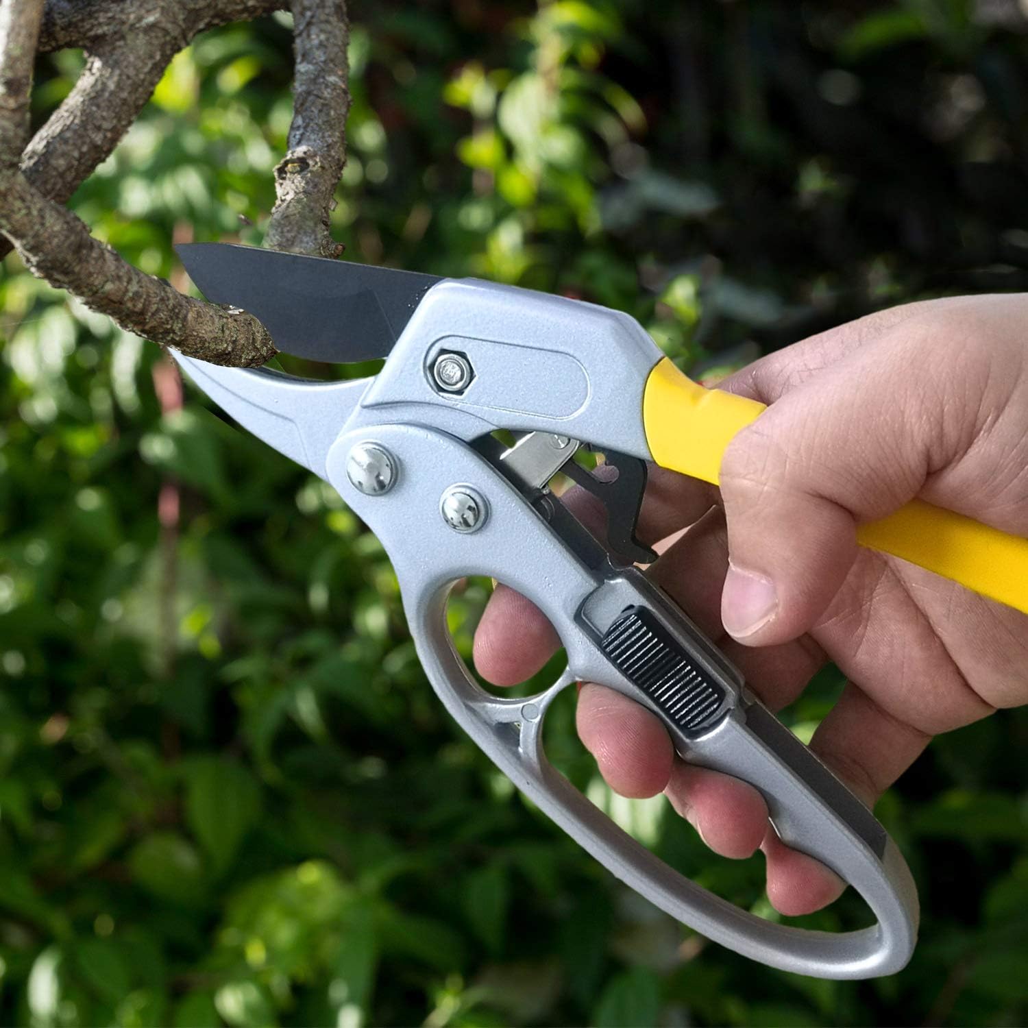 amazon tree pruners