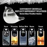 Fuoliystep Glass Storm Glass Weather Forecaster Barometer Predictor Office Home view 5