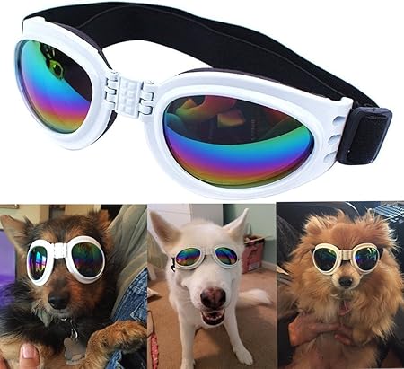 goggles for dogs amazon
