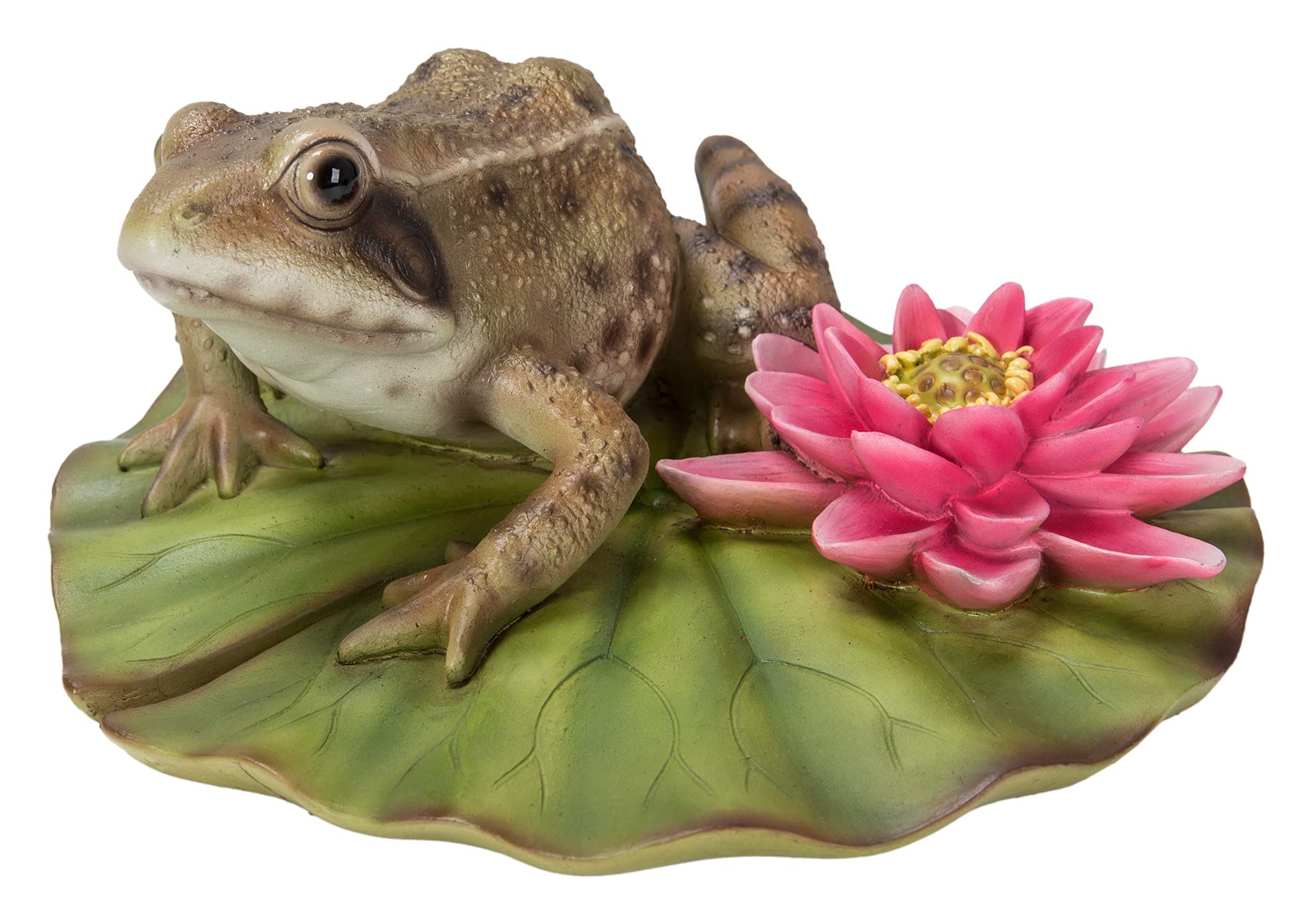 Vivid Arts Realistic Frog on Lily Pad | Resin Home or Garden Decoration | XRL-FRGL-D