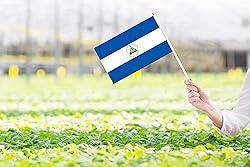 50 Pack Nicaragua Nicaraguan Flags - Small Mini