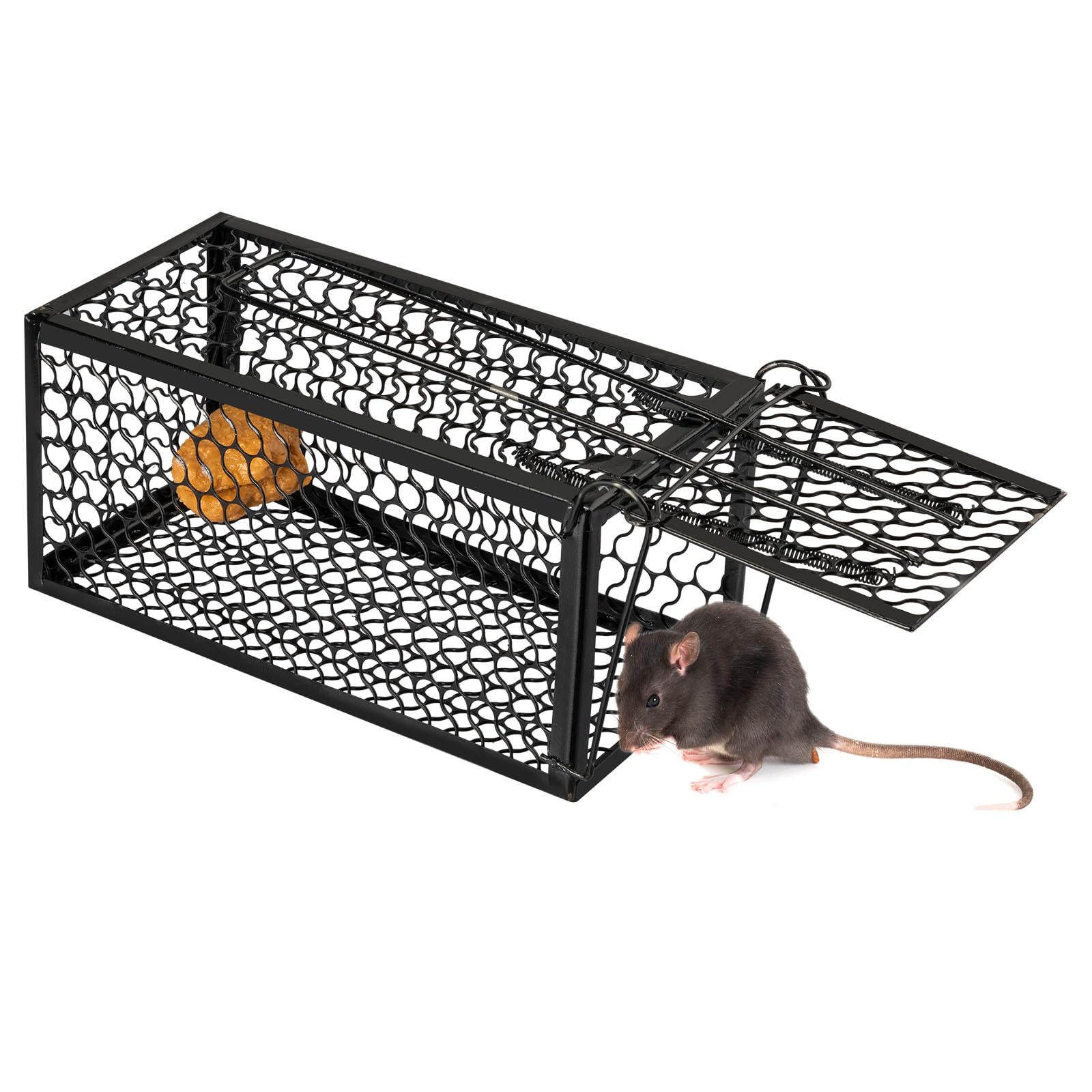 Photo 1 of Qualirey 2 Pcs Humane Rat Trap Chipmunk Rodent Mouse Squirrel Trap 11 x 6 x 6 Inches Live Animal Mouse Voles Hamsters Live Cage Rat Cage for Mice Easy to Catch and Release, Black