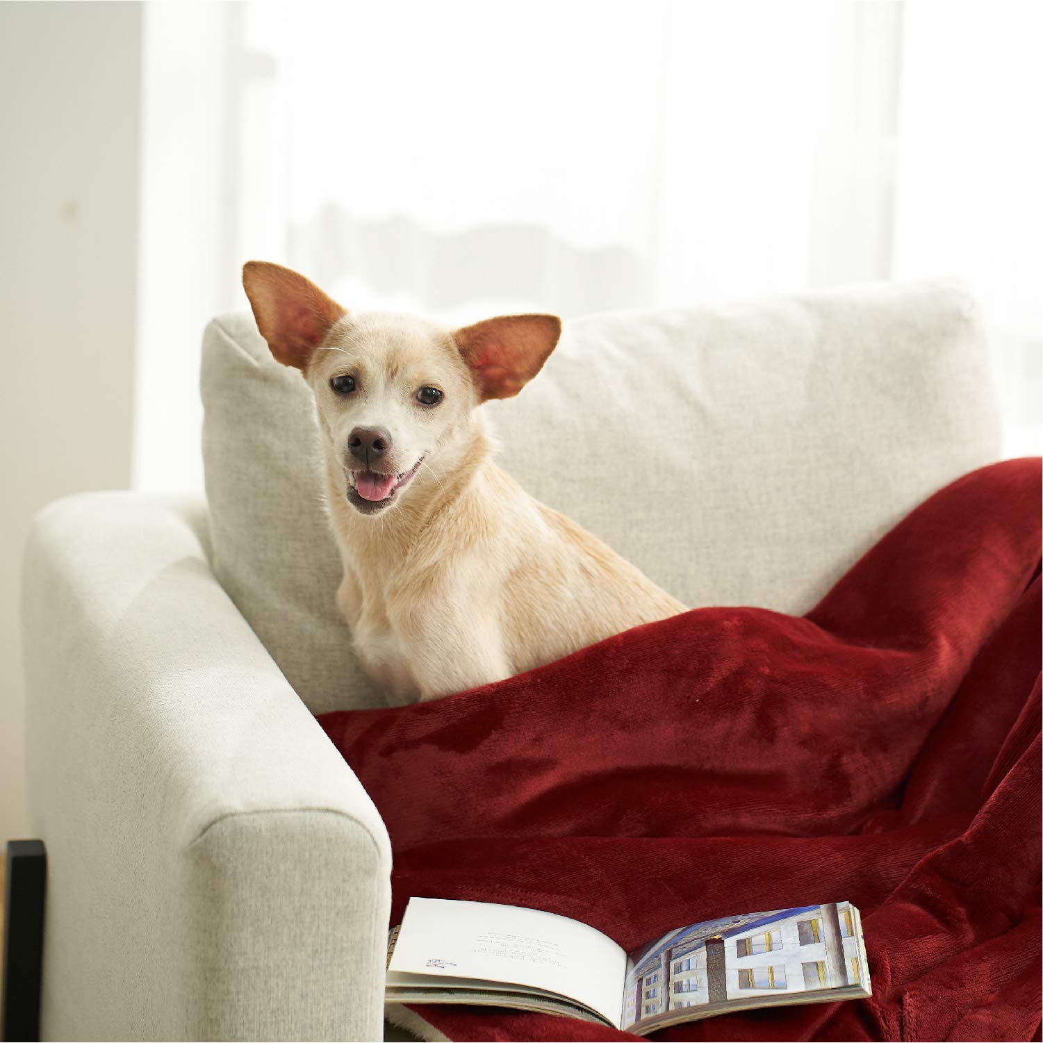 Bedsure Sherpa Fleece Blanket and Throw Rug Twin(60