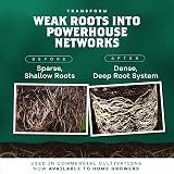 DYNOMYCO Mycorrhizal Fungi Inoculant 100g Granular roots growth view 3