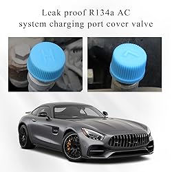 povtii Replacement Valve Caps for Car Air