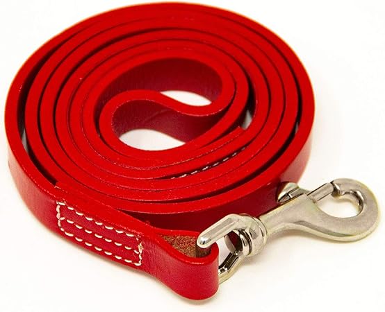 logical leather dog leash