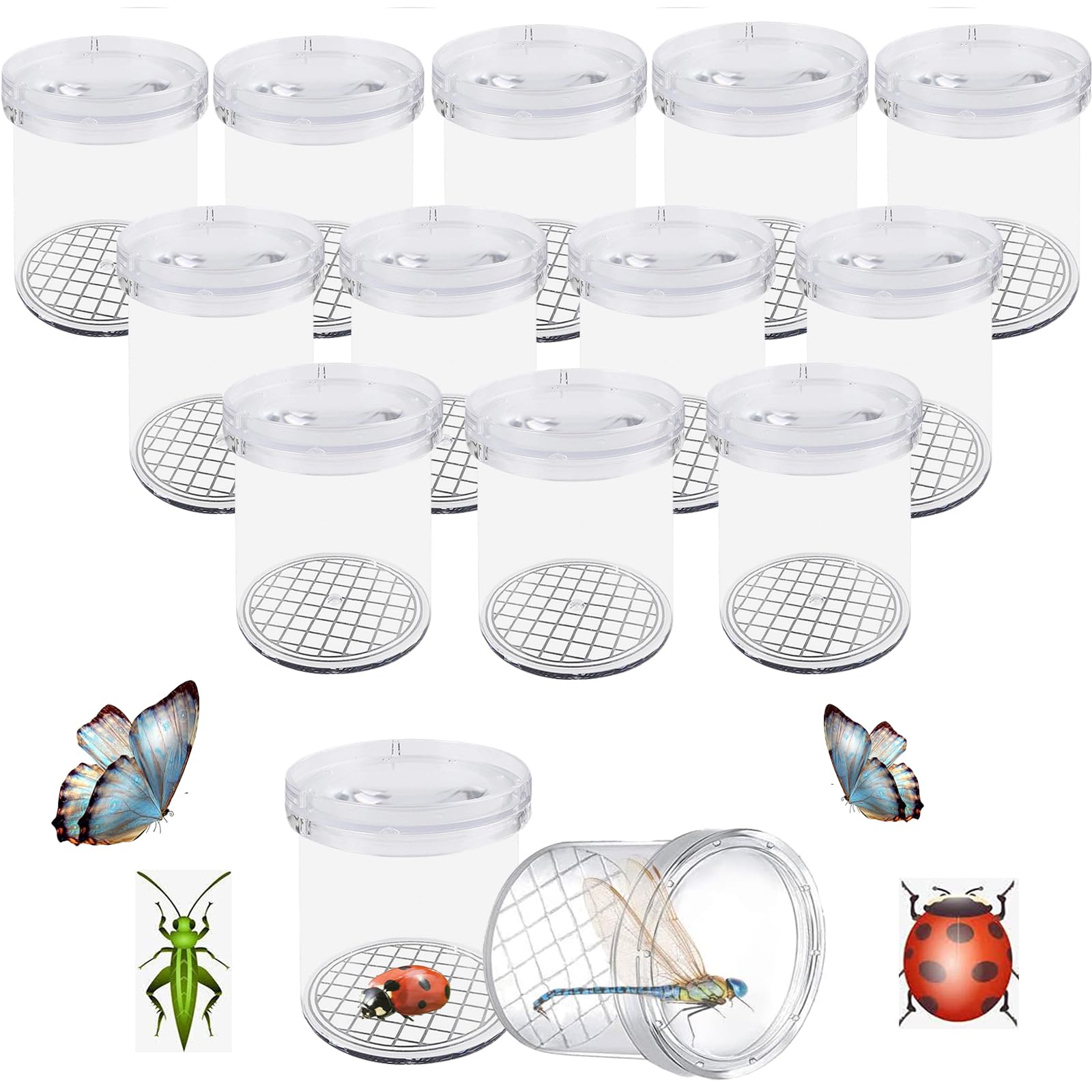 Insect Viewer,Tianher 12 Pieces Clear Magnifying Insect Container Bug Catchers Natural Educational Science Learning Observation Kit
