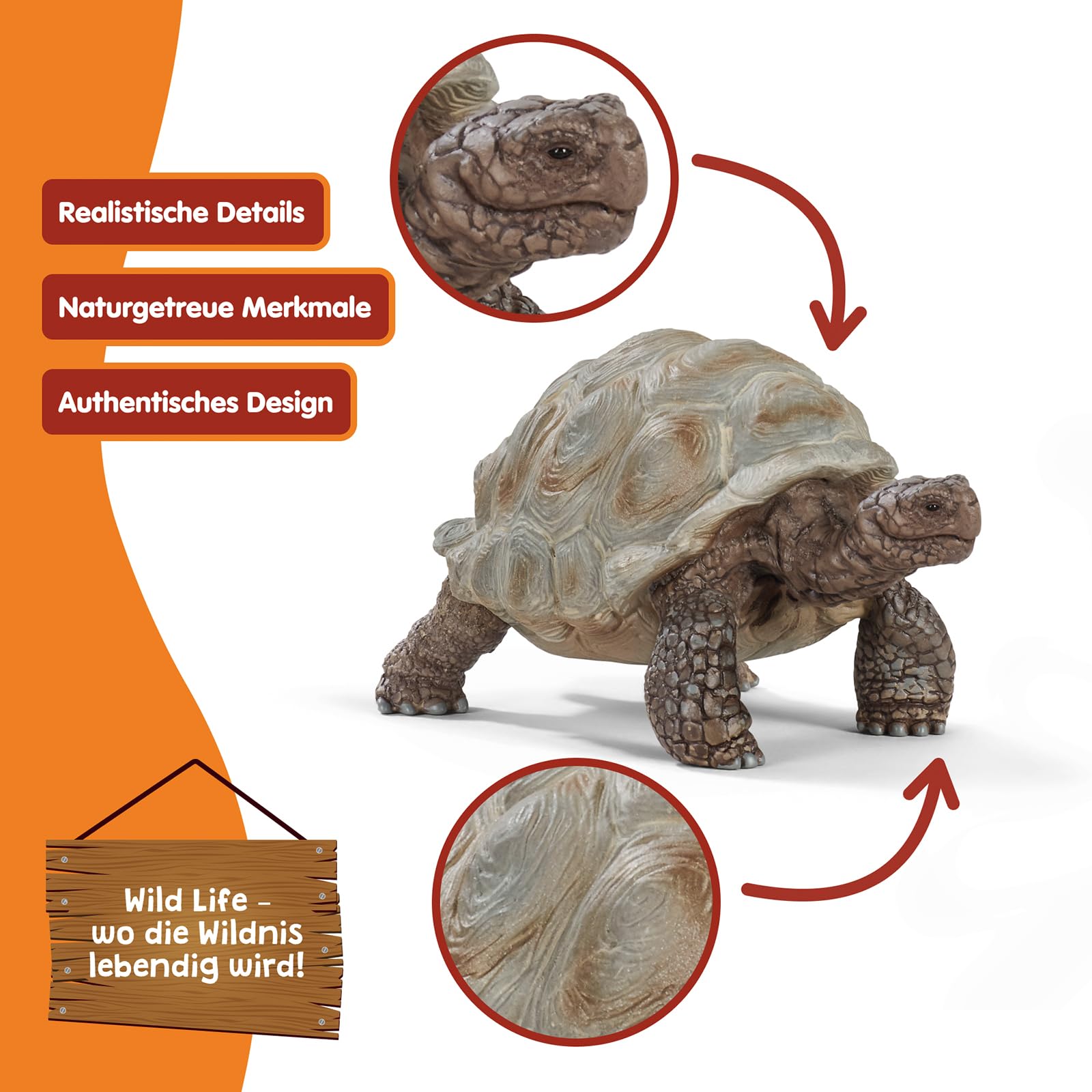 SCHLEICH WILD Life | Riesenschildkröte 14824 | detailgetreue Tierfiguren | Zoo Spielzeug | tolles Geschenk für Jungen und Mädchen | Deko für Geburtstag | Spielfigur ab 3 Jahren | 8 x 4 x 4 cm 3