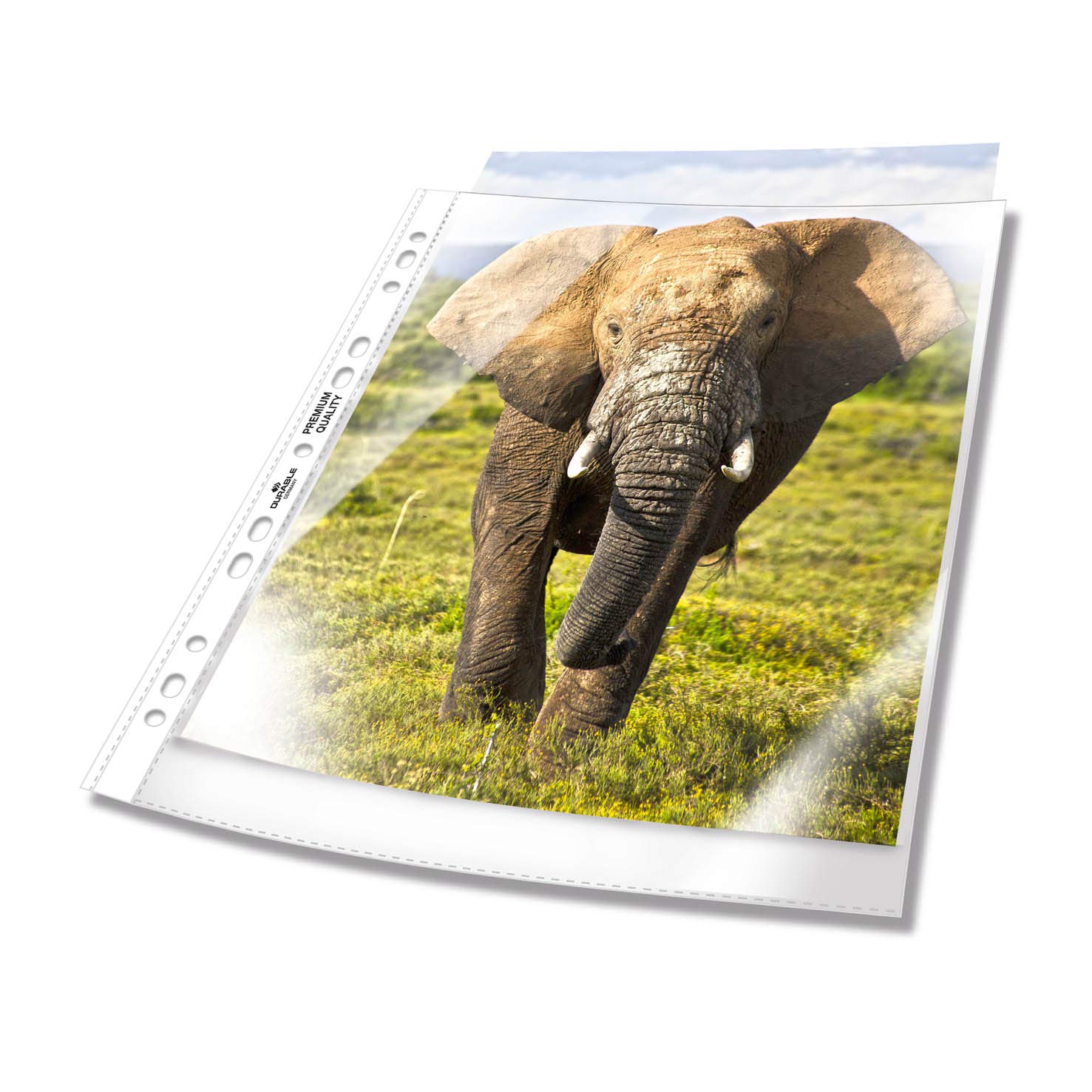 Durable Punched Pocket A4 Extra Wide, 240 x 310 mm, 90 my, Transparent, 50 Pieces 999111197