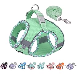 AIITLE No Pull Dog Vest Harness, All Weather