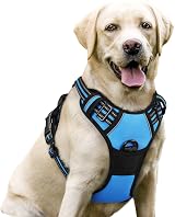 rabbitgoo Dog Harness Large No Pull Adjustable Reflective Baby Blue L