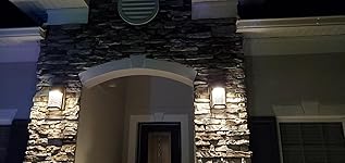 Review Image by dante williams