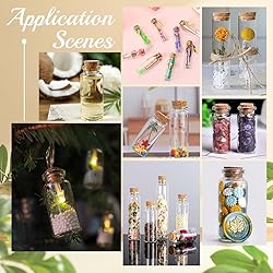 CRASPIRE 35Pcs Small Glass Bottles with Cork