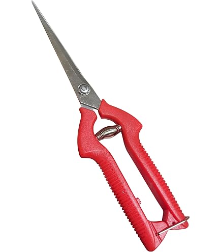 Amazon.com : GARDEN GURU Hand Grass Clipper Scissors – Classic